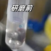 必看！全自動(dòng)浸入式液氮冷凍研磨儀高效研磨小鼠肝臟提取DNA實(shí)操指南