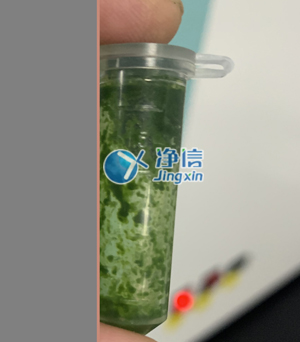 冷凍研磨儀在對甘蔗葉片提取DNA實驗中研磨樣本效果如何？