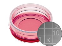 易必迪ibidi 細(xì)胞定位格子培養(yǎng)皿μ-Dish 35 mm high， glass bottom Grid-500