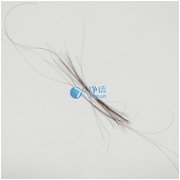 上海凈信研磨頭發(fā)樣品新突破！快速鑒定疑犯是否吸毒