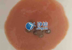 實驗室常用研磨儀器是什么？組織研磨儀常用嗎？